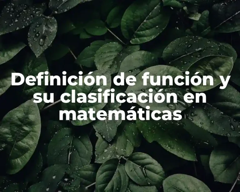 Definición de función y su clasificación en matemáticas