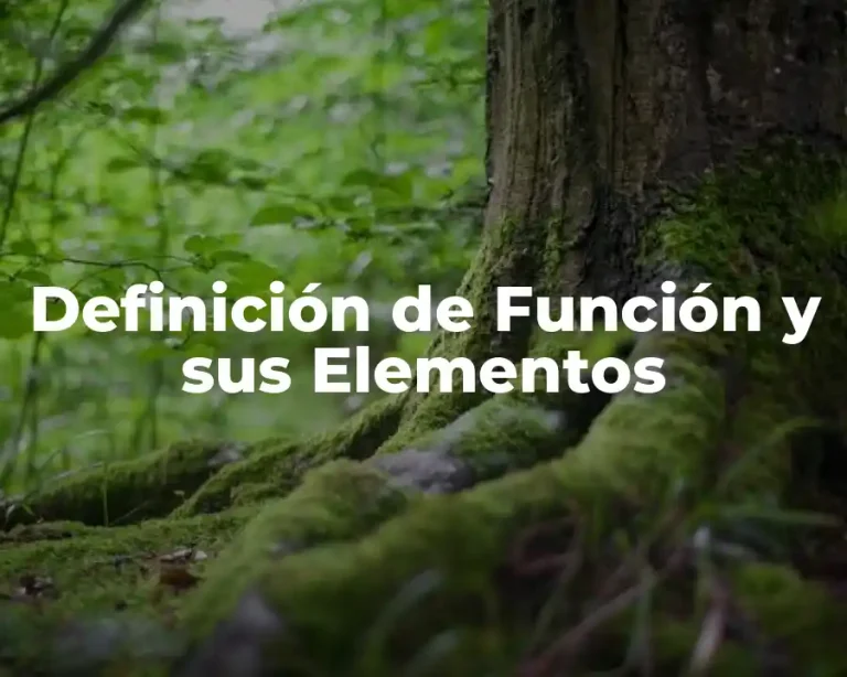 Definición de Función y sus Elementos