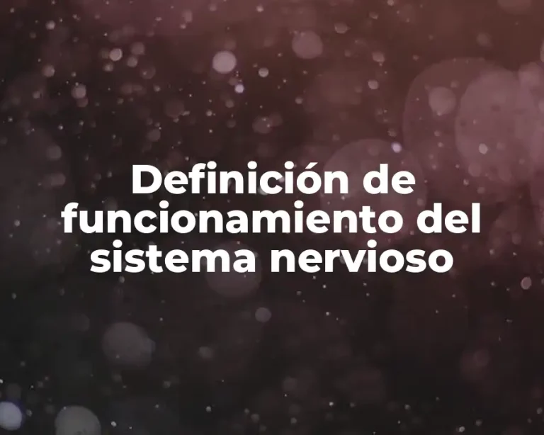 Definición de funcionamiento del sistema nervioso