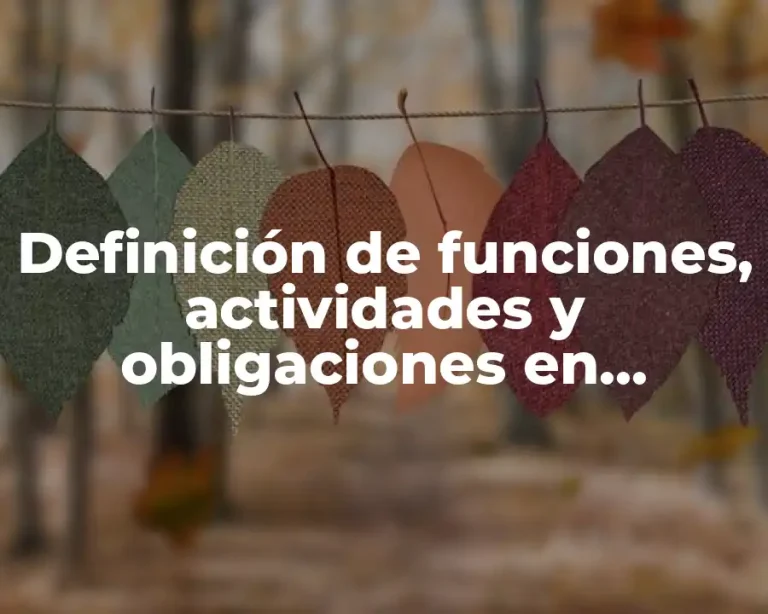 Definición de funciones, actividades y obligaciones en administración