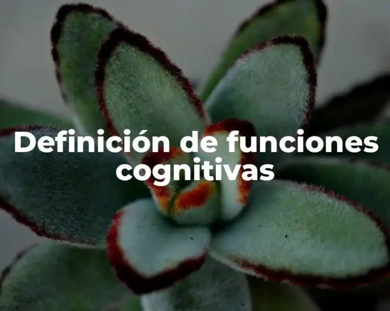 Definición de funciones cognitivas