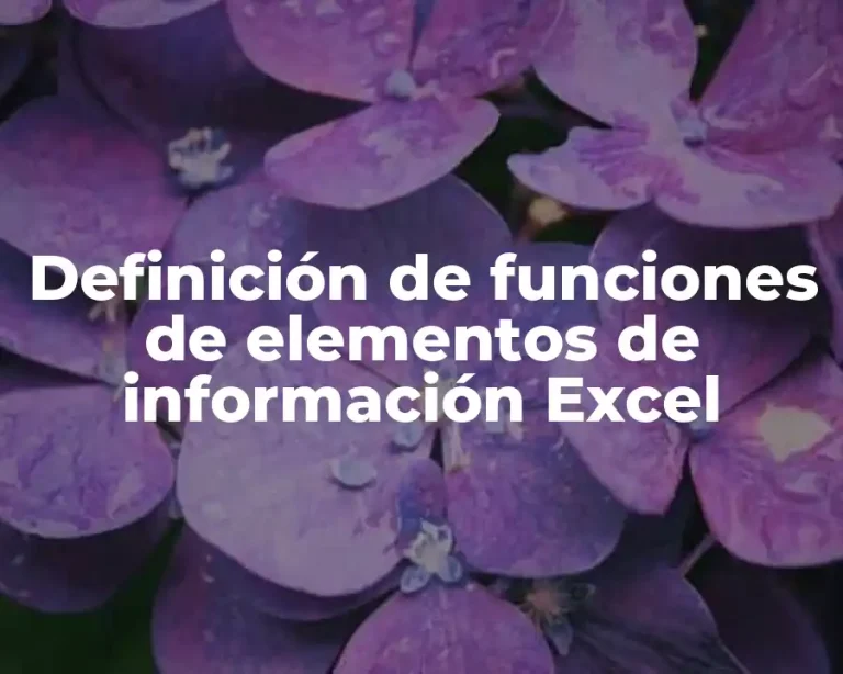 Definición de funciones de elementos de información Excel