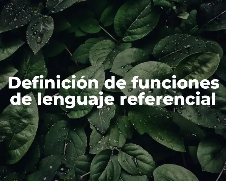 Definición de funciones de lenguaje referencial
