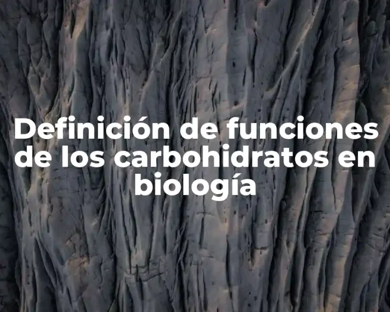 Definición de funciones de los carbohidratos en biología
