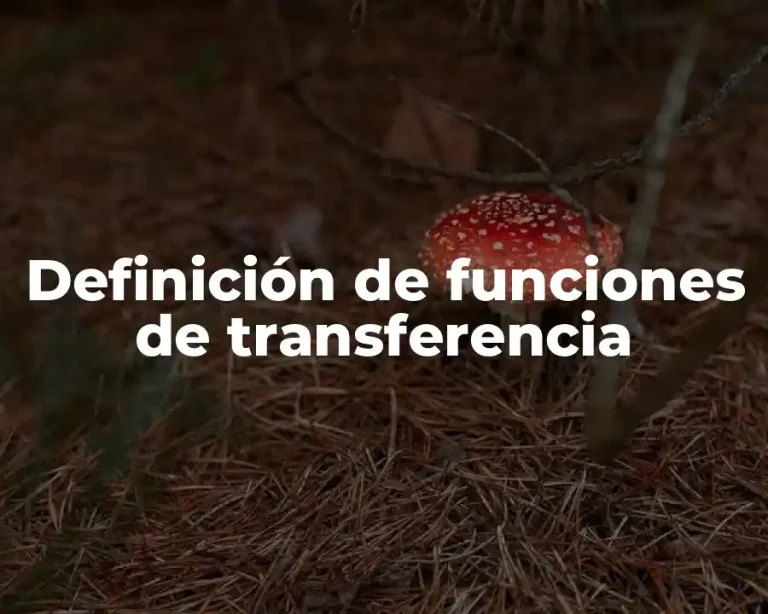 Definición de funciones de transferencia