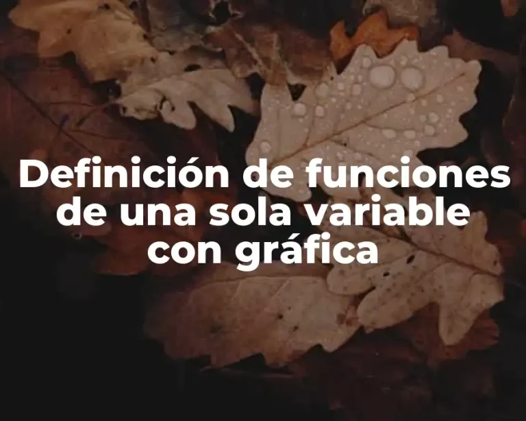 Definición de funciones de una sola variable con gráfica