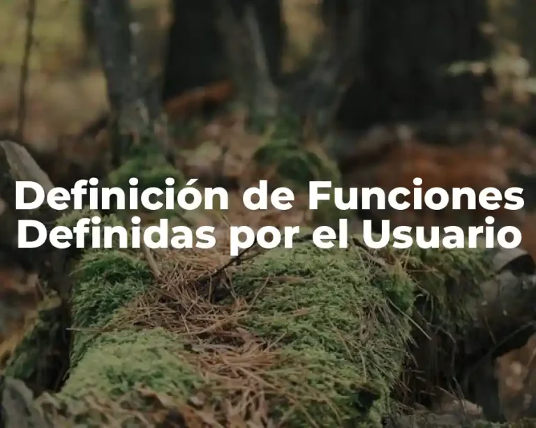 Definición de Funciones Definidas por el Usuario