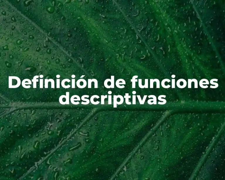 Definición de funciones descriptivas