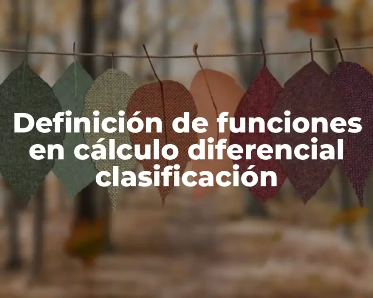 Definición de funciones en cálculo diferencial clasificación