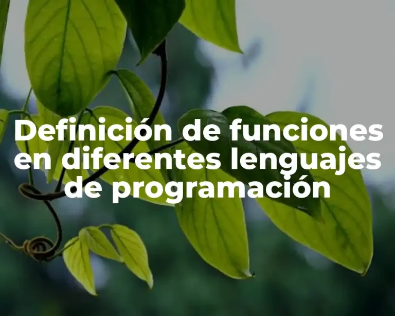 Definición de funciones en diferentes lenguajes de programación