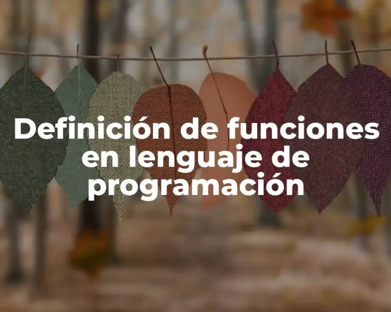 Definición de funciones en lenguaje de programación