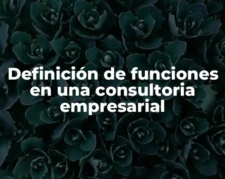 Definición de funciones en una consultoria empresarial