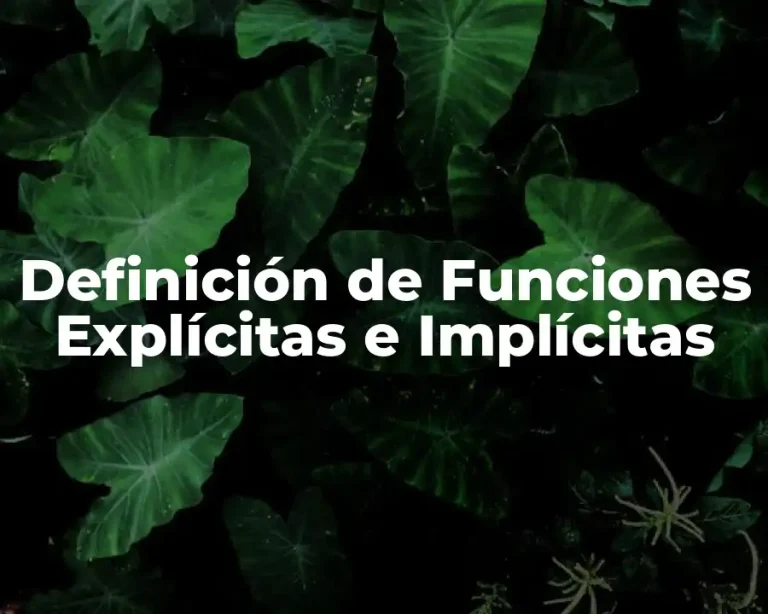 Definición de Funciones Explícitas e Implícitas