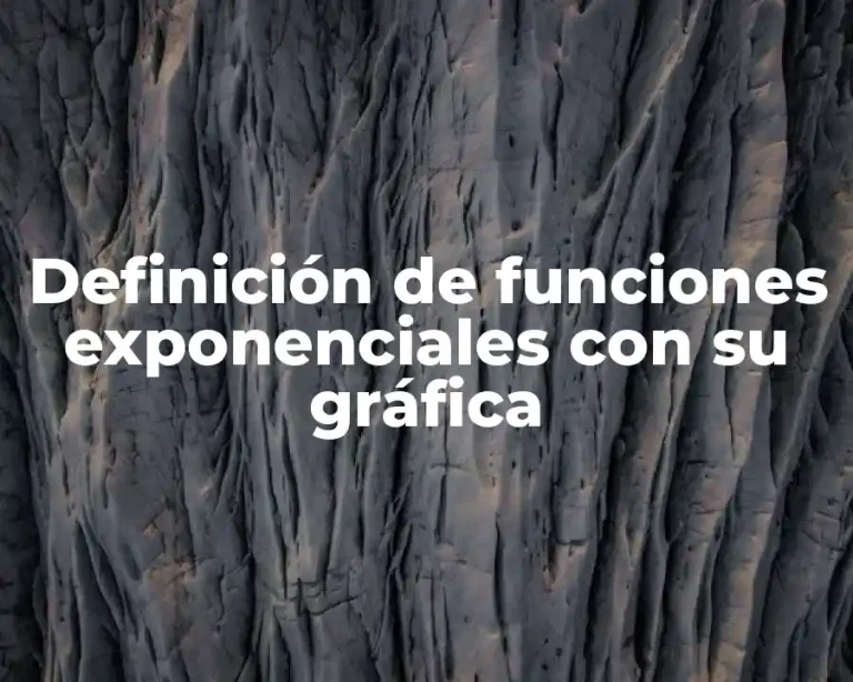 Definición de funciones exponenciales con su gráfica