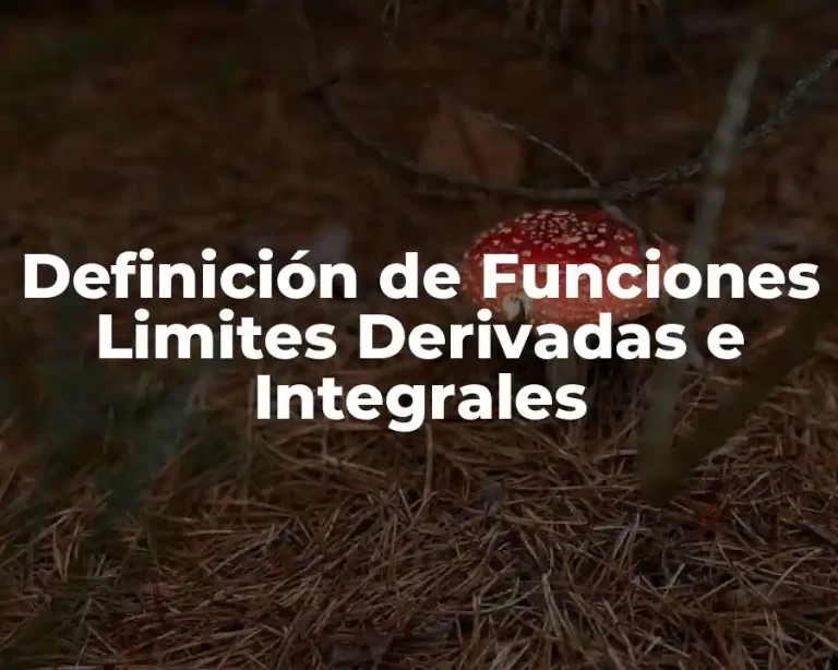 Definición de Funciones Limites Derivadas e Integrales