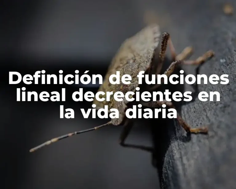 Definición de funciones lineal decrecientes en la vida diaria