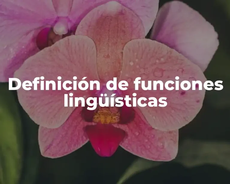 Definición de funciones lingüísticas