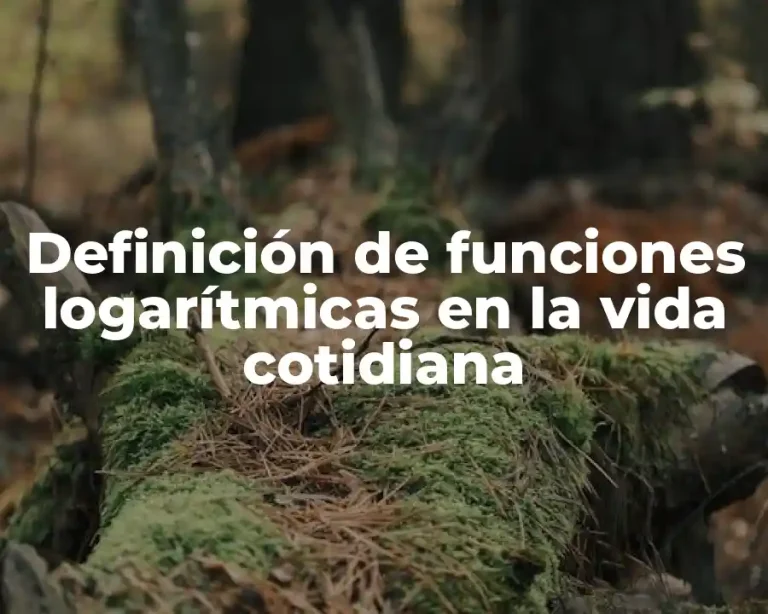 Definición de funciones logarítmicas en la vida cotidiana