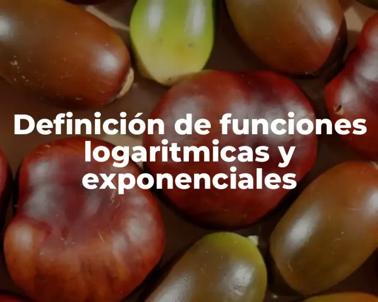 Definición de funciones logaritmicas y exponenciales