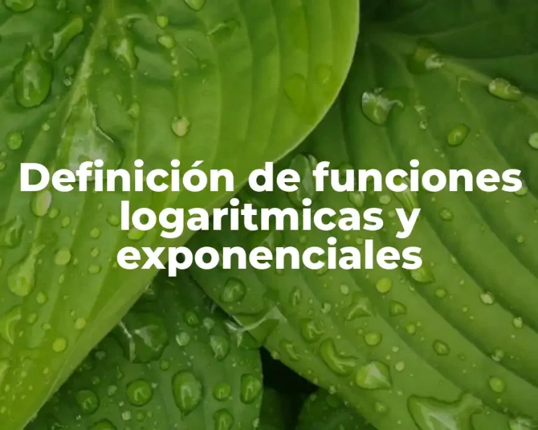 Definición de funciones logaritmicas y exponenciales