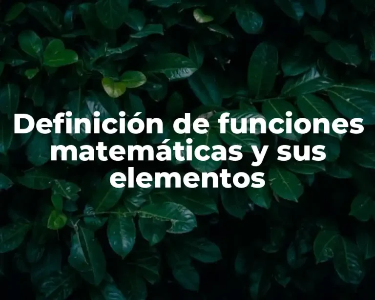 Definición de funciones matemáticas y sus elementos