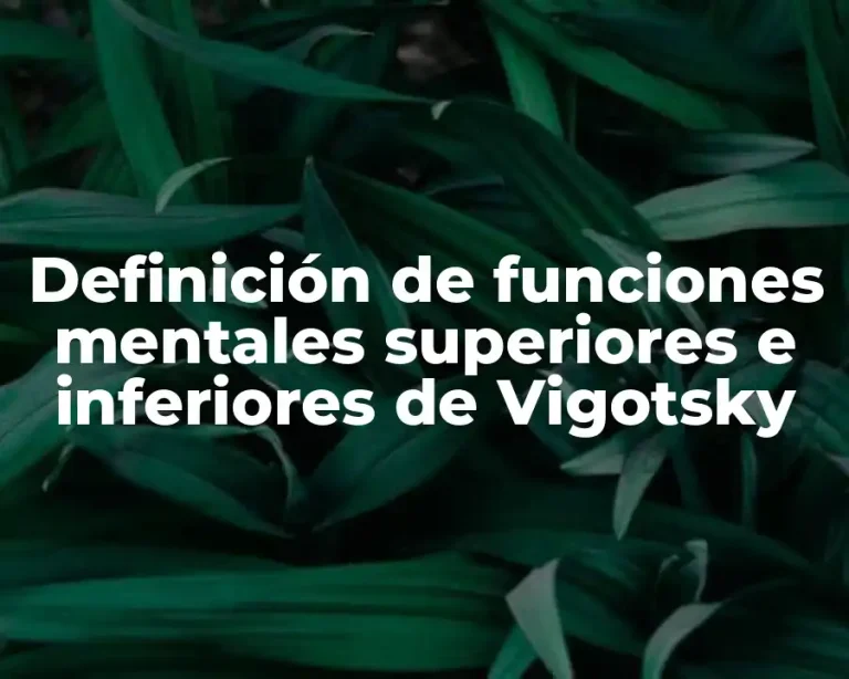 Definición de funciones mentales superiores e inferiores de Vigotsky