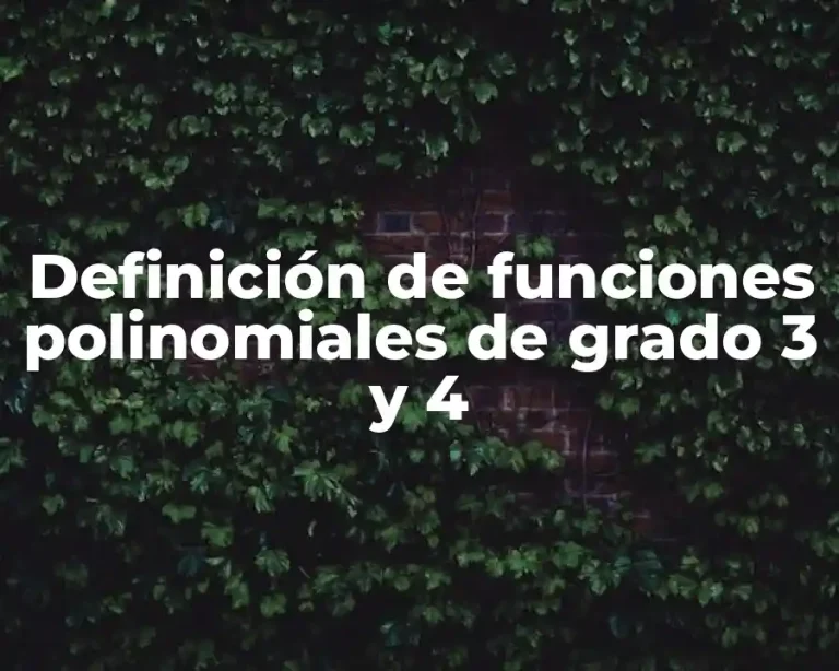 Definición de funciones polinomiales de grado 3 y 4