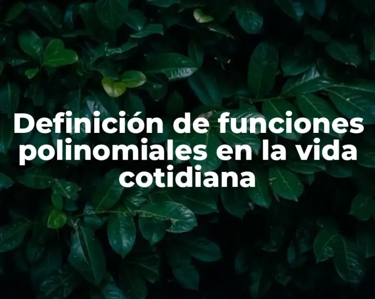 Definición de funciones polinomiales en la vida cotidiana
