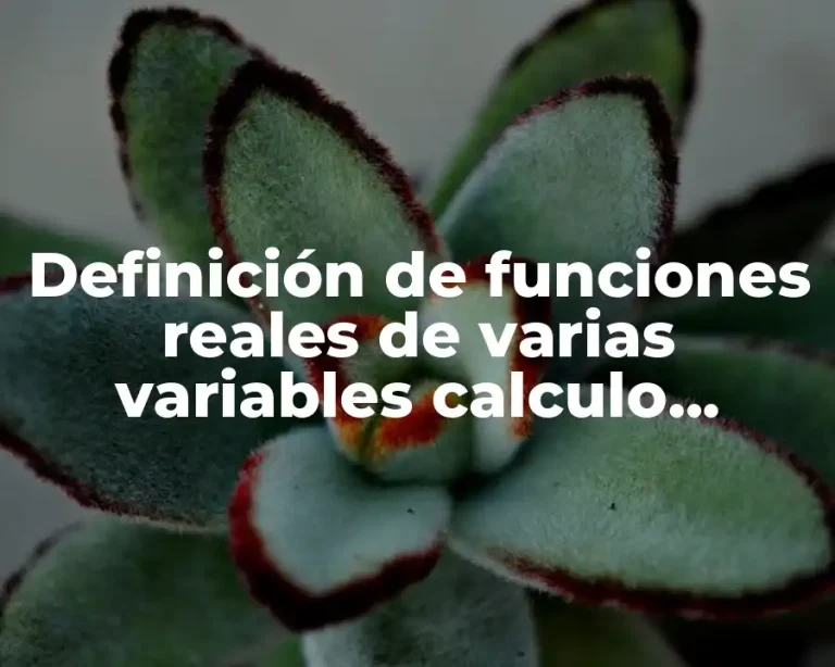 Definición de funciones reales de varias variables calculo vectorial