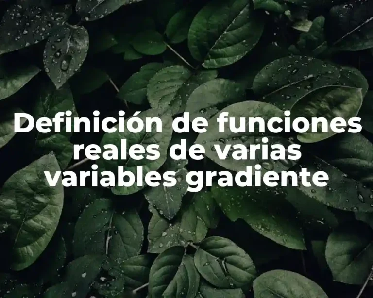 Definición de funciones reales de varias variables gradiente