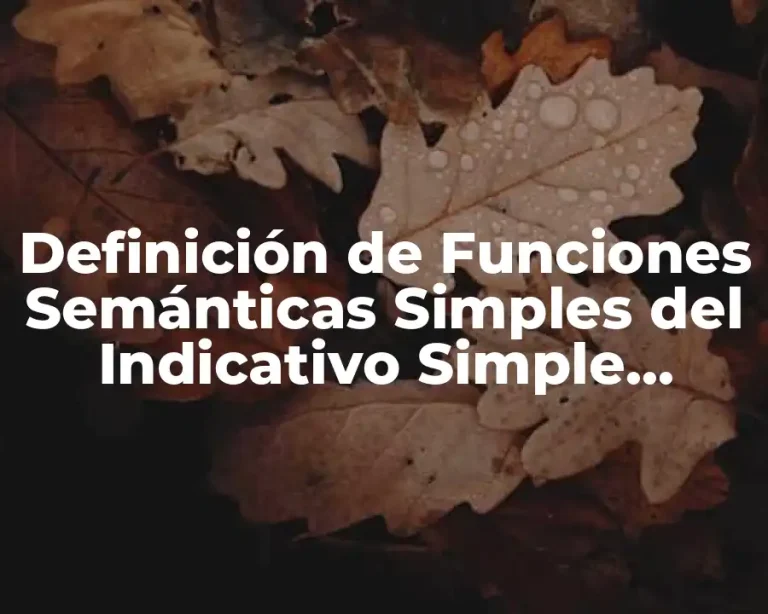 Definición de Funciones Semánticas Simples del Indicativo Simple Habitual