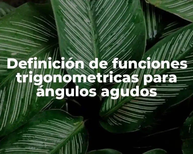 Definición de funciones trigonometricas para ángulos agudos