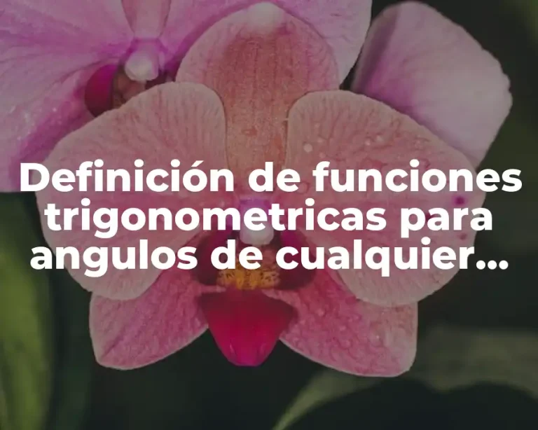 Definición de funciones trigonometricas para angulos de cualquier magnitud