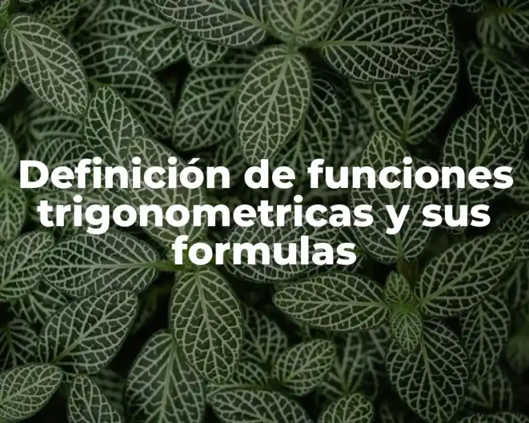 Definición de funciones trigonometricas y sus formulas