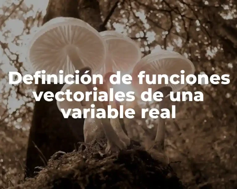 Definición de funciones vectoriales de una variable real