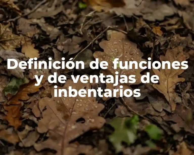 Definición de funciones y de ventajas de inbentarios