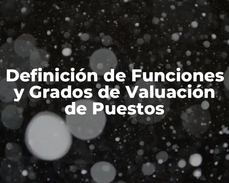 Definición de Funciones y Grados de Valuación de Puestos