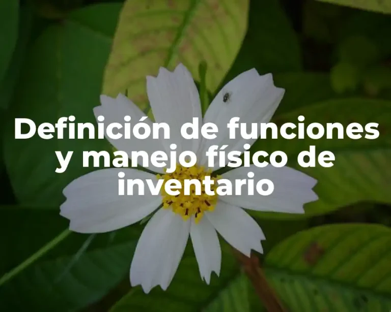 Definición de funciones y manejo físico de inventario