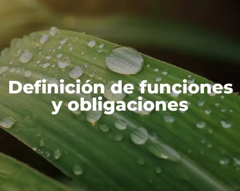 Definición de funciones y obligaciones