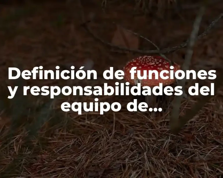 Definición de funciones y responsabilidades del equipo de benchmarking