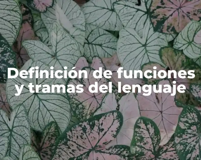 Definición de funciones y tramas del lenguaje