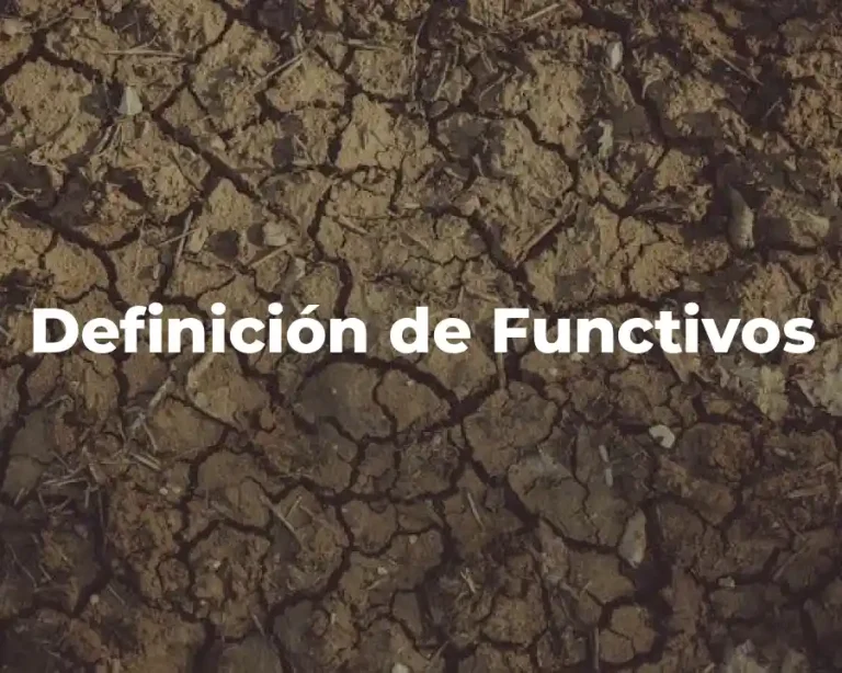 Definición de Functivos