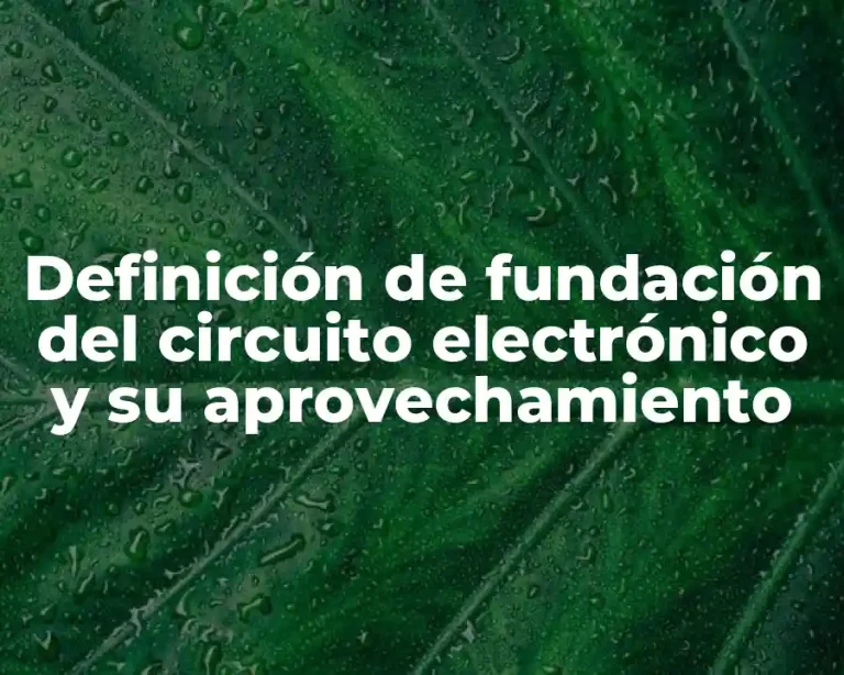 Definición de fundación del circuito electrónico y su aprovechamiento
