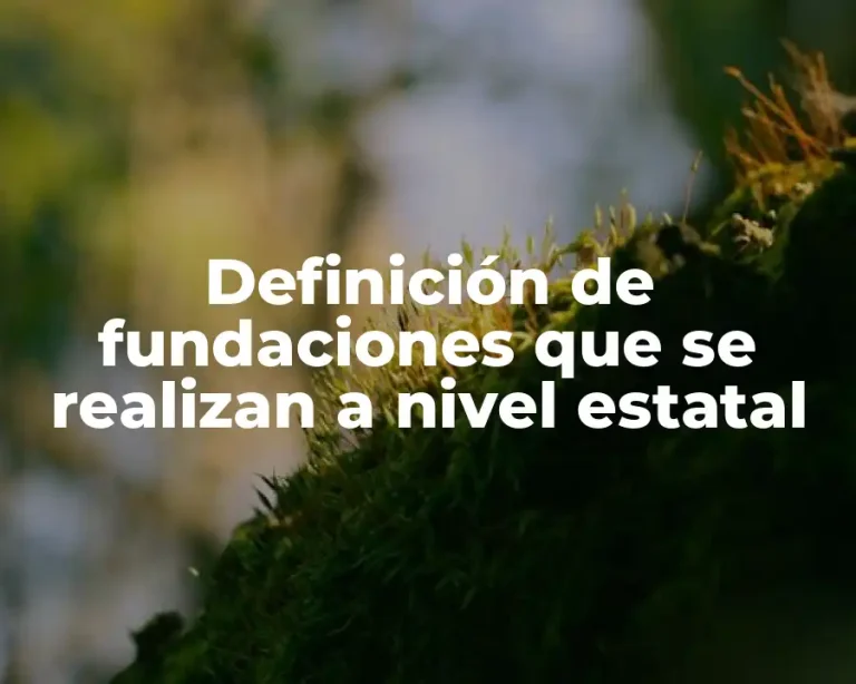 Definición de fundaciones que se realizan a nivel estatal