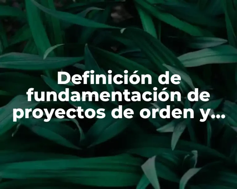 Definición de fundamentación de proyectos de orden y limpieza