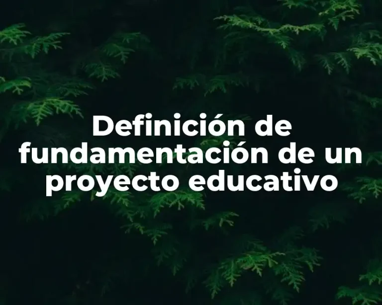 Definición de fundamentación de un proyecto educativo