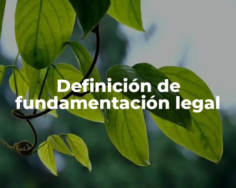 Definición de fundamentación legal