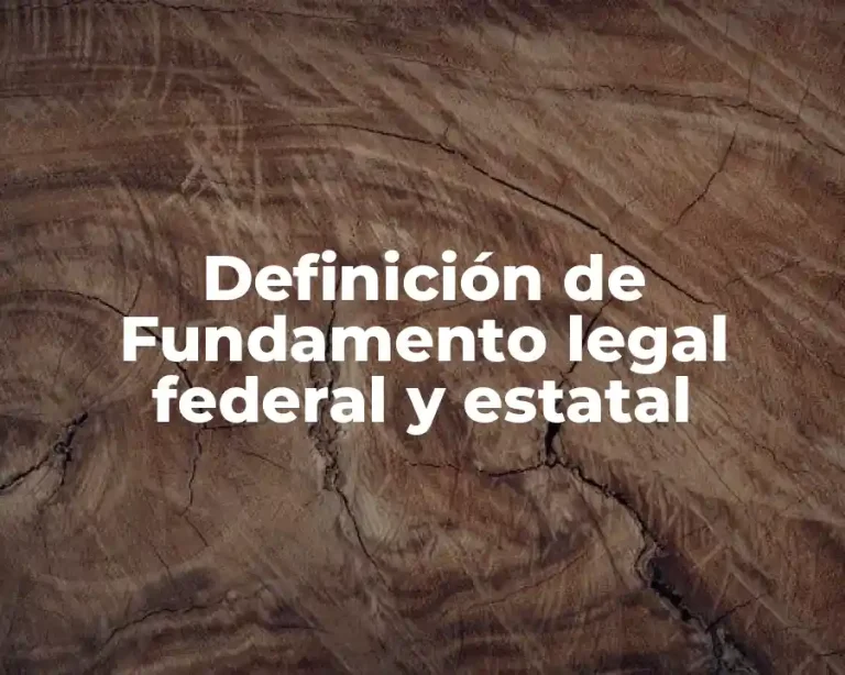Definición de Fundamento legal federal y estatal
