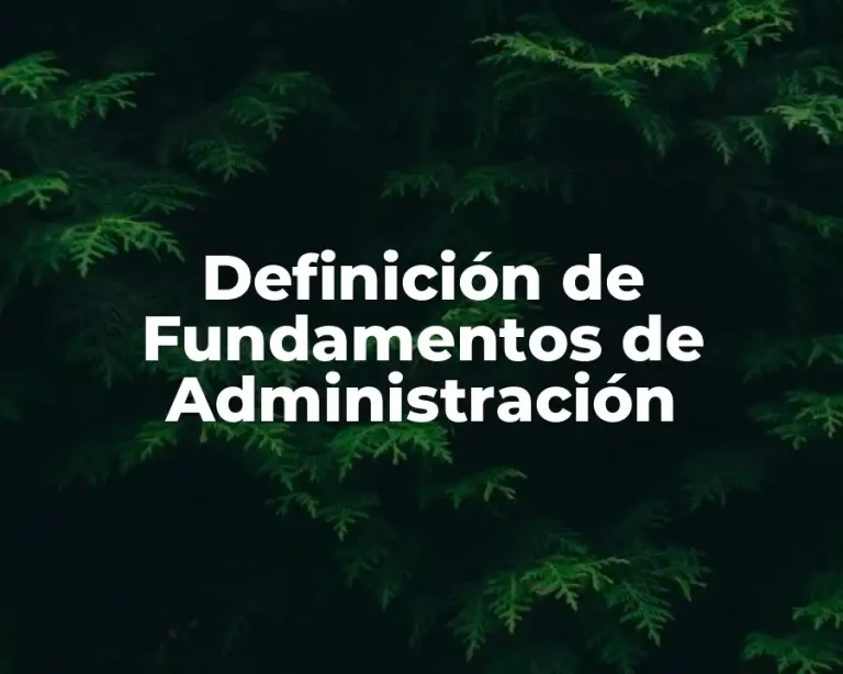 Definición de Fundamentos de Administración
