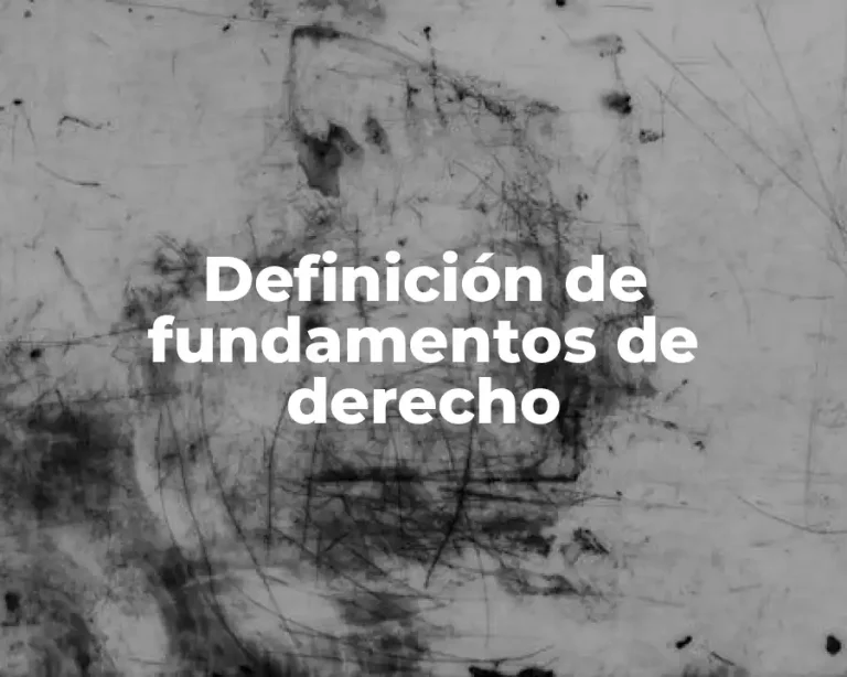 Definición de fundamentos de derecho